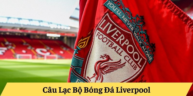 Câu Lạc Bộ Bóng Đá Liverpool